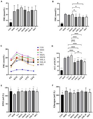 Effects of the synbiotic composed of mangiferin and Lactobacillus reuteri 1–12 on type 2 diabetes mellitus rats